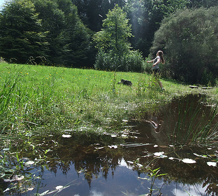 Disc Golf New Zealand